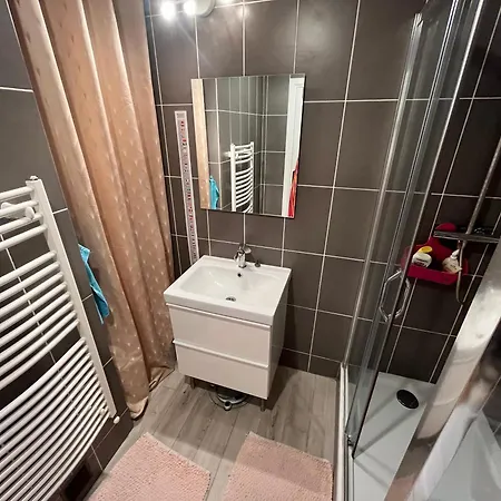 Hypercentre - Quartier Perret - Parking Prive & Terrasse Ensoleillee, Cocon Chaleureux 100m2 - 